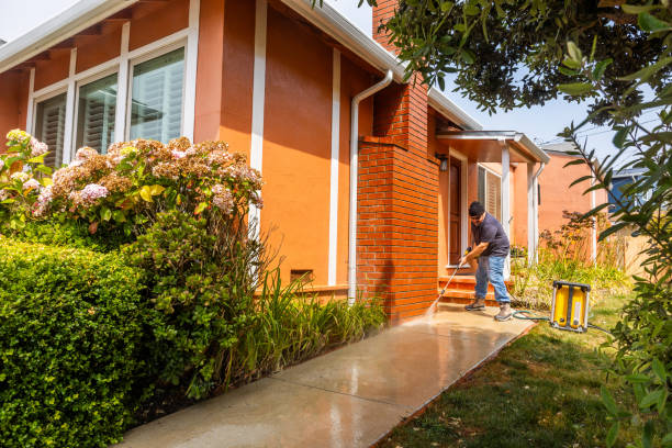 Best Deck Cleaning Services  in Timberline Fernwood, AZ